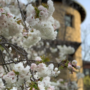 与终身学习者George对话：“松弛状态更具创造力”