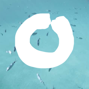 000 | 《国大海在种花生》播客上线啦。