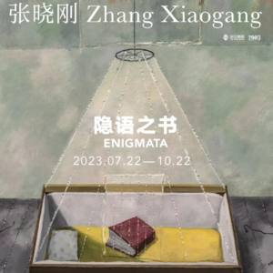 Vol.046 张晓刚「隐语之书」文学,故土,40年的回望