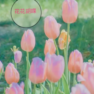 旅行一下，快乐一夏！