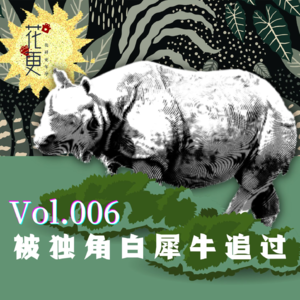 Vol：006 鳄鱼，犀牛，大老虎，差点儿让我历劫回天！