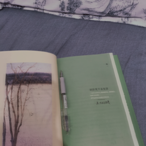 致燕妮 | 到日光下去生活，今天也要好好过。