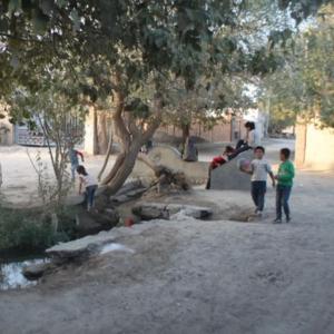 008 搞乡建之后,我从intj变成了enfp