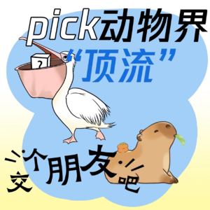 Vol.57 pick动物界“顶流”