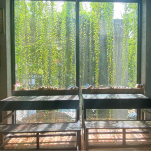 10. 对柬埔寨我了解到了什么