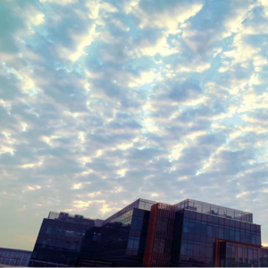 这期后半程,是一个可有可无单元