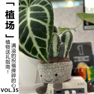 Vol.35 植物送礼指南！满溢的祝福操碎的心