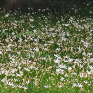 0-3 如果认真工作就一定能涨工资，中国的大部分人都是要疯掉的