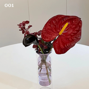 001.终于！我们的第一朵小花盛开啦！快来和我们浇个朋友吧！