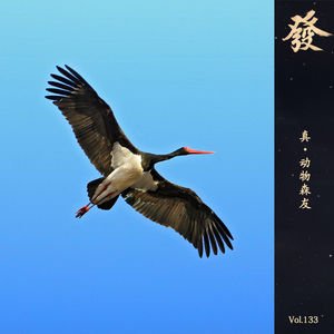133期 - 真·动物森友
