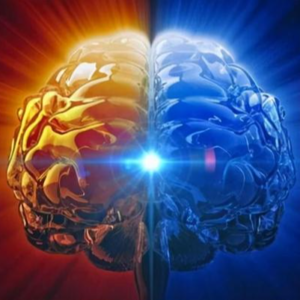 第255期：疯狂实验史：人类短期记忆的极限是7±2个信息单元吗？