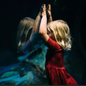 Vol 6| 为什么我们很难理性决策：从"两个自我"和"行为经济学"说起