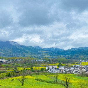 又见梓路，我们与禅修的缘分