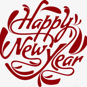 28.新年特辑 | 今年怎么过，明年还那样吗？