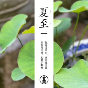 E25 洛桑医学 I 夏至