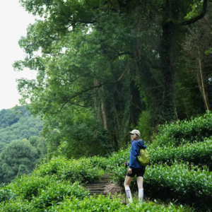 和S老师一起旅行