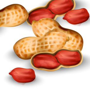 29－花生：爹味零食得看我，我是父亲节最靓的崽