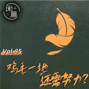 Vol.85 闲篇读书馆│一地鸡毛：鸡毛一地，还需努力？