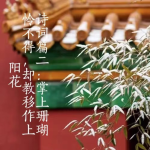 《甄嬛传》诗词篇二：掌上珊瑚怜不得，却教移作上阳花