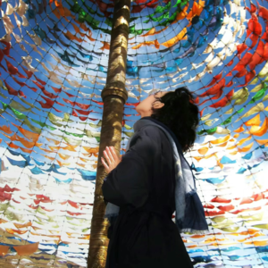 乐动欧美 全方位环绕明艳生命力