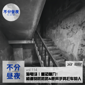 vol.114 海龟汤｜重恐慎入！楼道的咚咚咚&怪异手势拦车的人