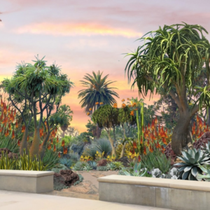 038 植物园景观 美国加州亨廷顿植物园