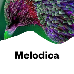 Melodica.2024.02.26