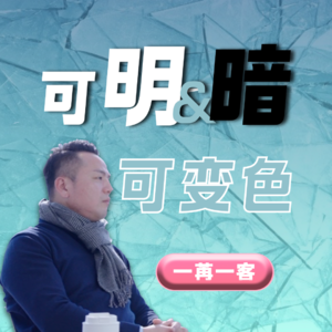 一家玩光的公司，被比亚迪蔚来定点并投资