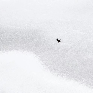 EP04.虽然痛苦到崩溃，却无法辞职的经历（下）