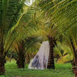 E57-她从香港来海南采访数字游民,好奇怪呀