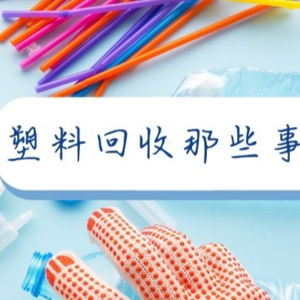 餐盒的回收率凭啥不如饮料瓶?超高信息量揭秘塑料回收那些事儿