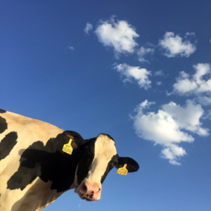 ep8 与创始人剖析 CoW Swap 产品设计，探讨引领意图交易的 MEV 最小化 DEX 是如何产生的