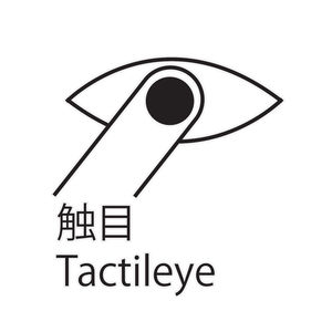 触目Tactileye