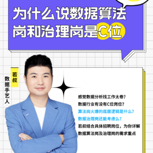 为什么说数据算法岗和治理岗是C位