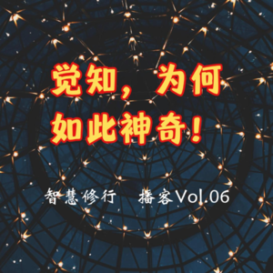 Vol.06 觉知,为何如此神奇?!