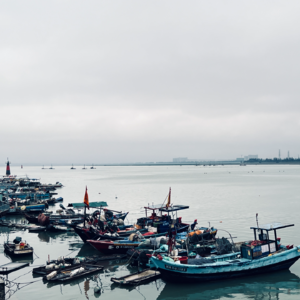 寥聊 #081 久别重逢