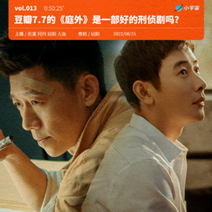 013. 豆瓣7.7的《庭外》是一部好的刑侦剧吗？国产悬疑剧（上）
