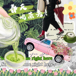 4. 春茶尝鲜 | 诸子百家皆可注解，喝茶到最后喝的都是自己的规矩