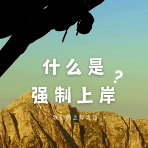 到底什么是负债后强制上岸？