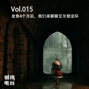 Vol.015 发售4个月后，我们来聊聊艾尔登法环