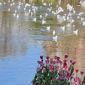 关于春节独自过年和上班内耗