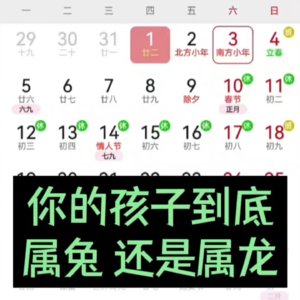 本月出生的宝宝属兔还属龙？