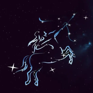 V14.十二星座揭秘—射手座