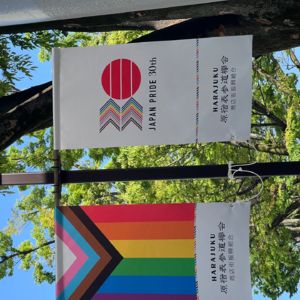 #17 在骄傲节之际更新