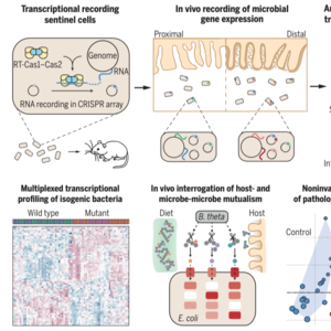 EP4: “非侵入肠道记录器”离应用还很远