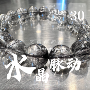 E22.黑发晶-能量场修复保护