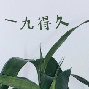 vol.2 爱好,真的会让人一生幸福