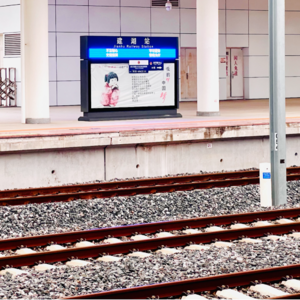 见证 适配度满分的爱情