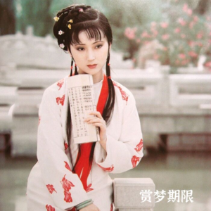 VOL.11 林黛玉的地狱是自己一手建造的，她真没她说的那么惨！