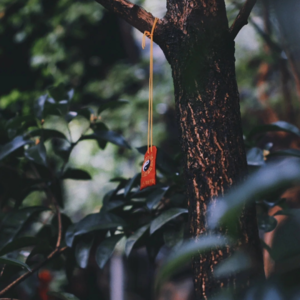 玄学夜话 054｜土星换进双鱼座♓，整个人武当山⛰️脚下倒霉的一天